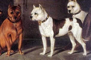 Olejomaľba z r.1886,pes typu bull and terrier.jpg